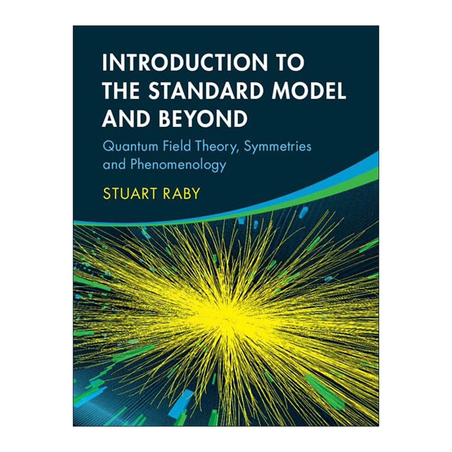 英文原版 Introduction to the Standard Model and Beyond 标准模型及拓展导论 量子场论 对称性与现象学 精装 进口英语原版书籍