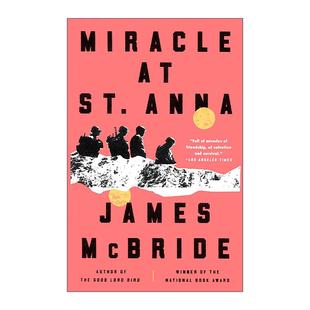 英文原版 Miracle at St. Anna 圣安娜的奇迹 上帝鸟作者詹姆斯·麦克布莱德 战争史 英文版 进口英语原版书籍