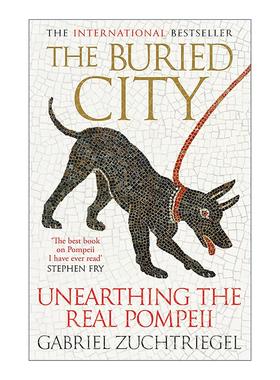 英文原版 The Buried City 湮没之城 庞贝古城的真实考古 人文历史 英文版 进口英语原版书籍