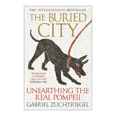 英文原版 The Buried City 湮没之城 庞贝古城的真实考古 人文历史 英文版 进口英语原版书籍