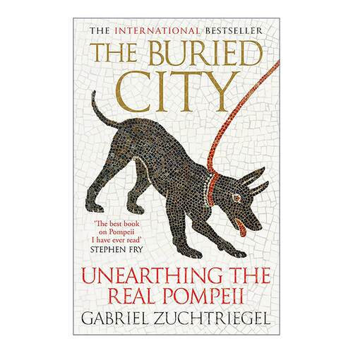 英文原版 The Buried City 湮没之城 庞贝古城的真实考古 人文历史 英文版 进口英语原版书籍