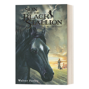 the 书籍 进口英语原版 Walter Son Farley Stallion Black 英文版 英文原版 黑神驹系列 青少年骑马动作冒险小说 黑神驹之子