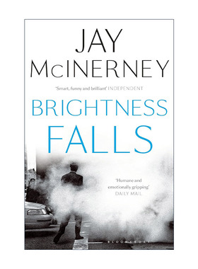 英文原版 Brightness Falls 光明跌落 杰伊·麦金纳尼小说 英文版 进口英语原版书籍