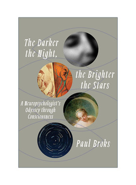 英文原版 The Darker the Night the Brighter the Stars 夜晚越黑 星星越亮 一位神经心理学家的意识奥德赛 传记 Paul Broks 精装
