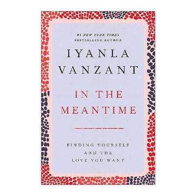 英文原版 In the Meantime 过渡时光 找到自己 也找到想要的爱 英文版 进口英语原版书籍
