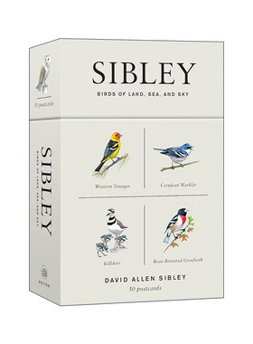 英文原版 Sibley Birds of Land Sea and Sky 50 Postcards 西布利观鸟鸟类明信片 海陆空三大类 水彩绘画 经典送礼纪念品盒