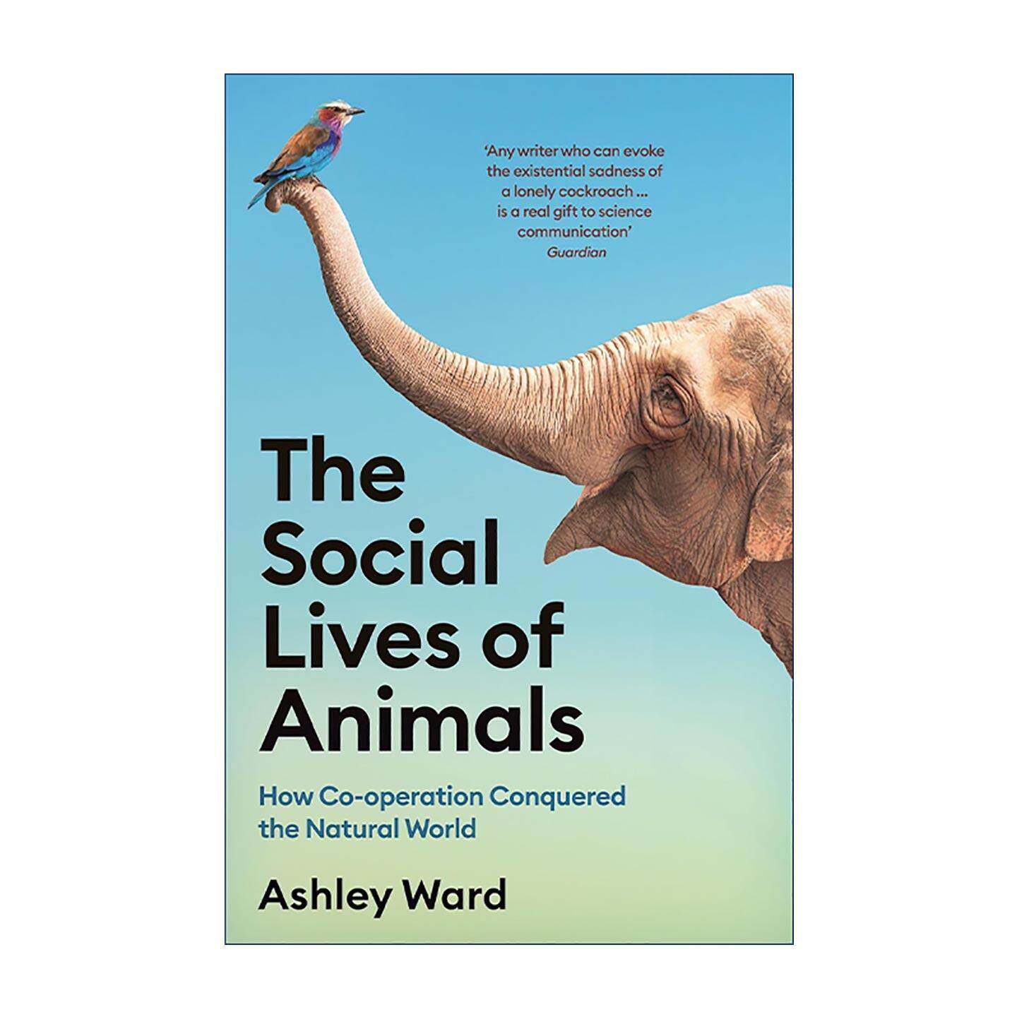 英文原版 The Social Lives of Animals 动物的社会生活 协作与社交的核心竞争力 英文版 进口英语原版书籍