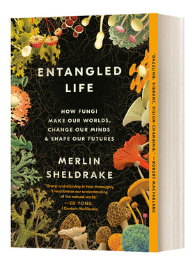 纠缠的生命 真菌如何创造我们的世界 Entangled Life 英文原版生命科学读物 进口英语书籍