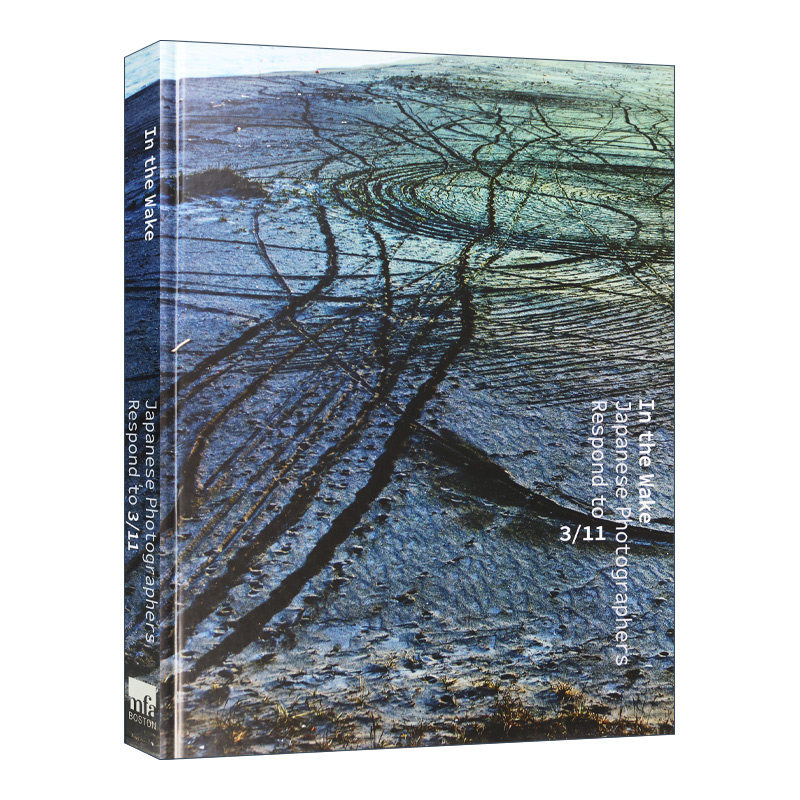 梦醒时分 关于3.11日本地震的摄影集 精装 In the Wake Japanese Photographers Respond to 3-11 英文原版摄影画册 进口英语书籍