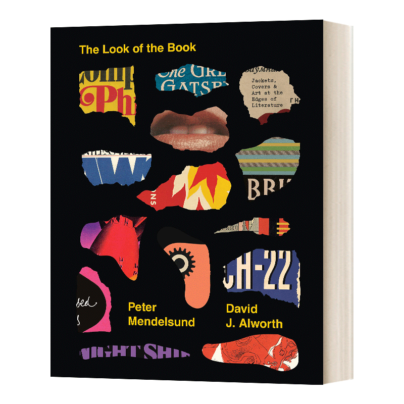 书的样貌精装英文原版设计画册