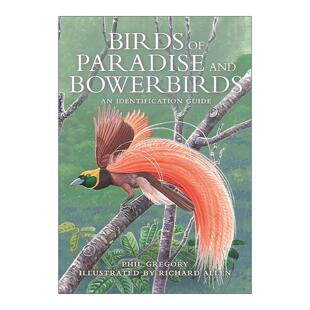英文原版 Birds of Paradise and Bowerbirds 天堂鸟和园丁鸟识别指南 精装插图版 观鸟 Phil Gregory 英文版 进口英语原版书籍