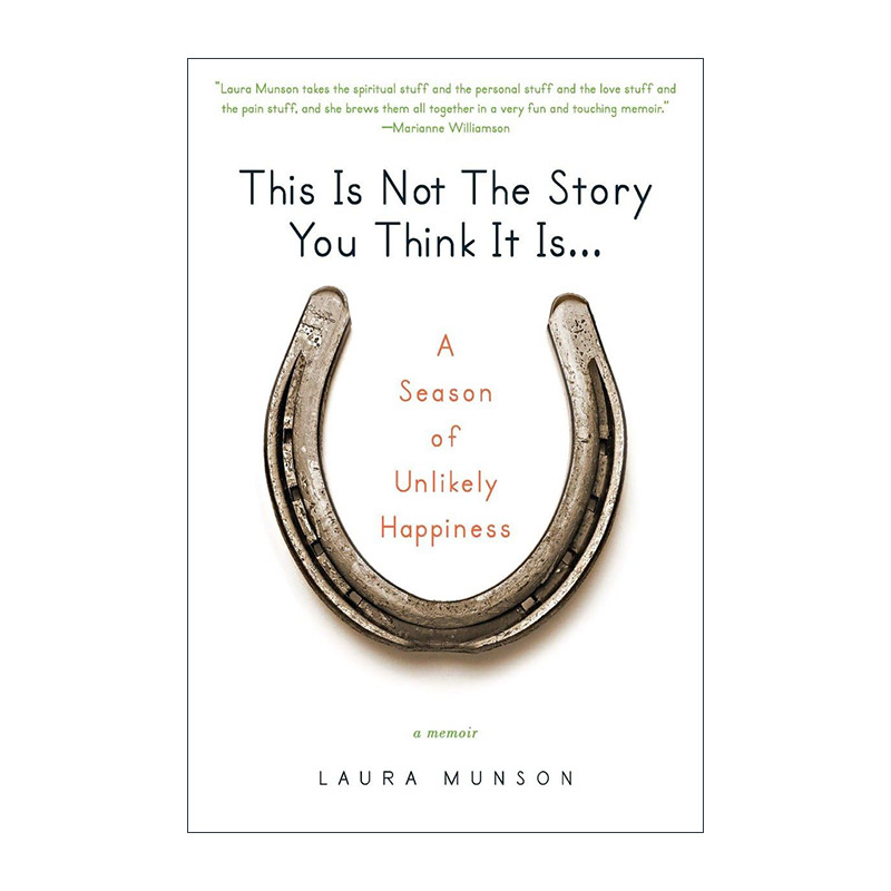 英文原版 This Is Not the Story You Think It Is 有一种爱叫我不在乎 爱与痛中的挣扎与絮语 传记 Laura Munson进口英语原版书籍