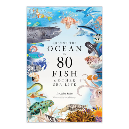 英文原版 Around the Ocean in 80 Fish and other Sea Life 海洋的80种鱼和其他海洋生物 自然科普读物精装 英文版 进口英语书籍