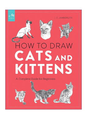 英文原版 How to Draw Cats and Kittens 初学者的猫咪绘画指南 J. C. Amberlyn铅笔钢笔画技巧指南 英文版 进口英语原版书籍