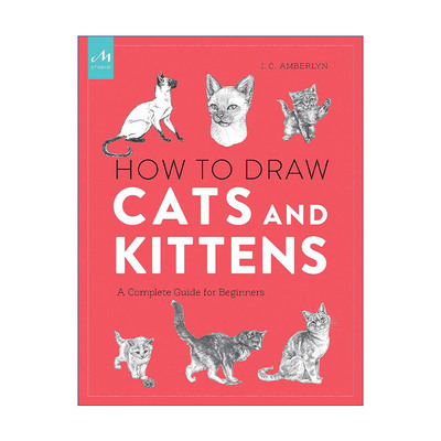 英文原版 How to Draw Cats and Kittens 初学者的猫咪绘画指南 J. C. Amberlyn铅笔钢笔画技巧指南 英文版 进口英语原版书籍