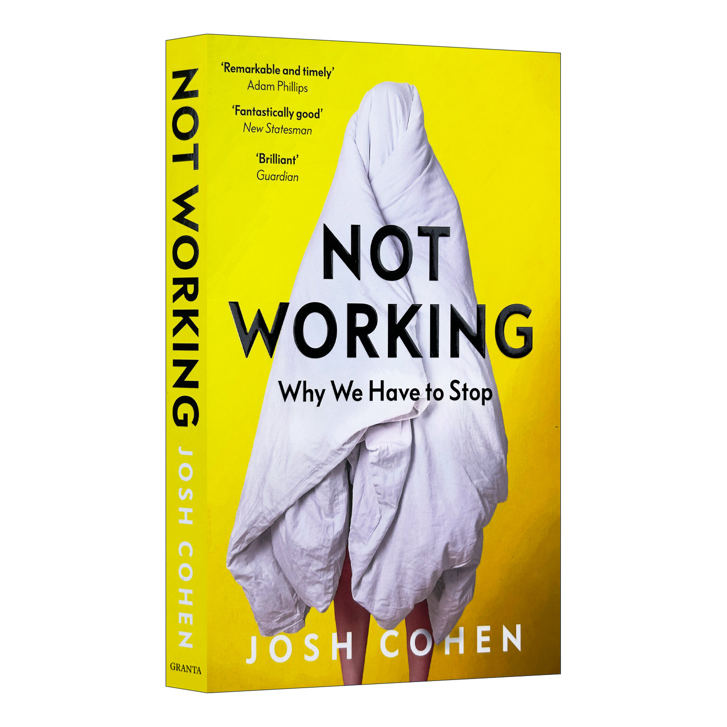 Not Working 什么都想做，什么都不想做：给打工人的一场心理按摩 精神分析学家乔希·科恩