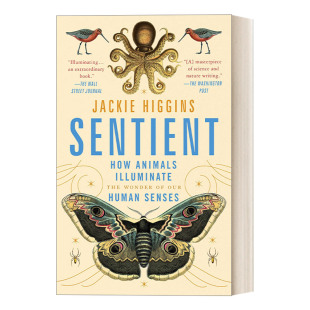 奇迹 动物如何照亮我们人类感官 Sentient 感官