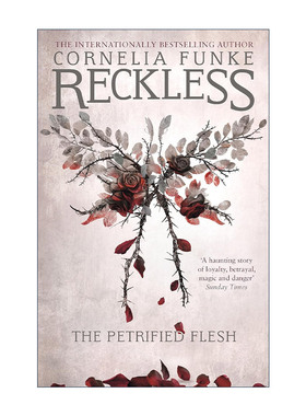 英文原版 Reckless I 雷克里斯与幻镜石魔 镜中世界系列1 德国奇幻小说家柯奈莉亚.冯克 英文版 进口英语原版书籍