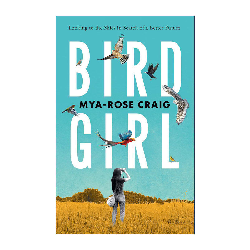 英文原版 Birdgirl 鸟女孩 仰望天空寻找更美好的未来 英文版 进口英语原版书籍