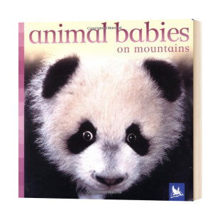 Rivers 进口纸板书籍 Animal 英文版 儿童英语启蒙读物 英文原版 Ponds Babies 小动物 池塘和河流里
