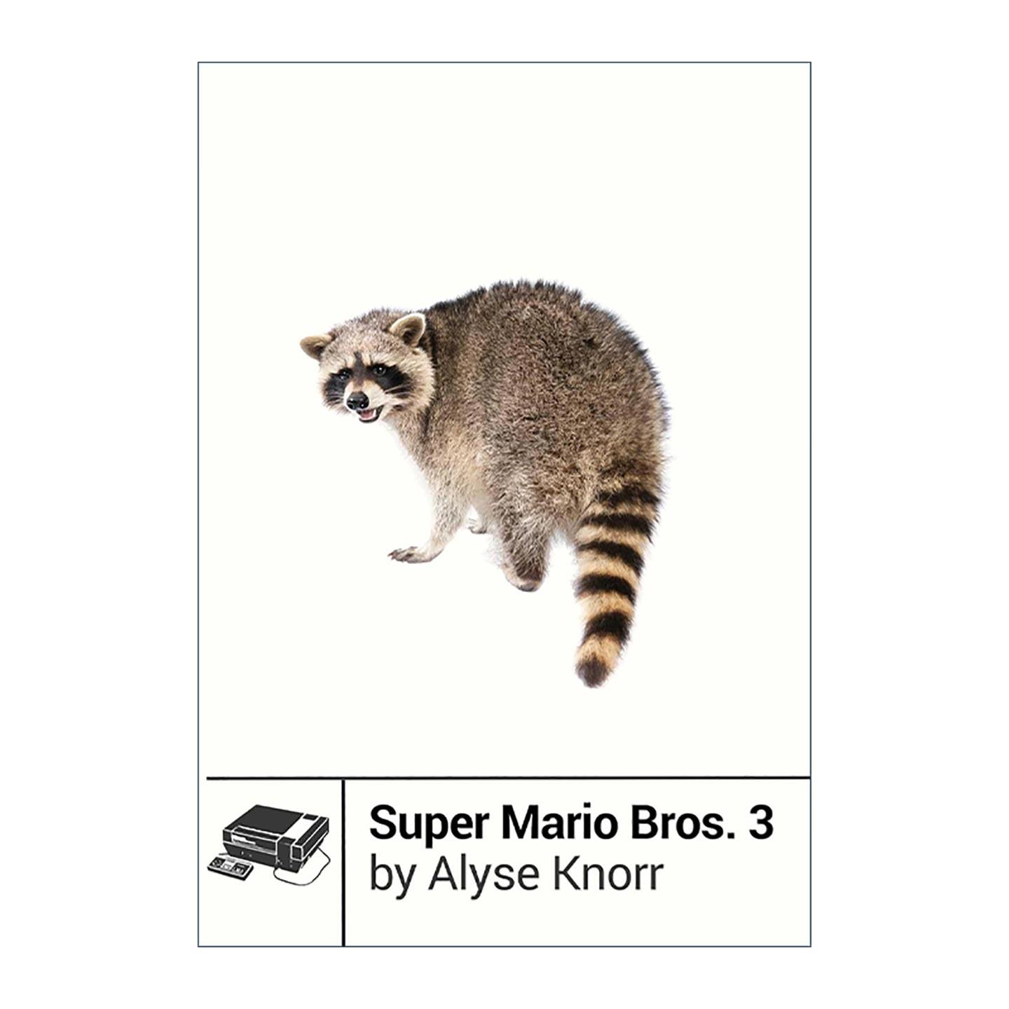 英文原版 Super Mario Bros.3 超级马力欧兄弟3 经典电子游戏的台前幕后系列 英文版 进口英语原版书籍