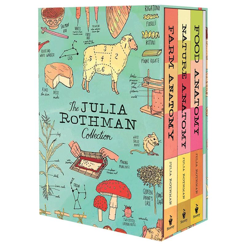 The Julia Rothman Collection 自然 食物 农场解剖学3本套装 Nature/Food/Farm Anatomy 全彩手绘插图 英文原版插画科普进口书籍