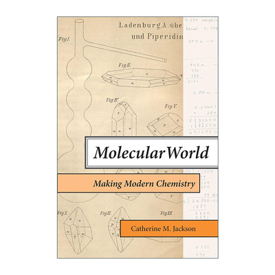 英文原版 Molecular World The MIT Press 分子世界 创造现代化学 牛津大学科学史副教授Catherine M. Jackson 进口英语原版书籍