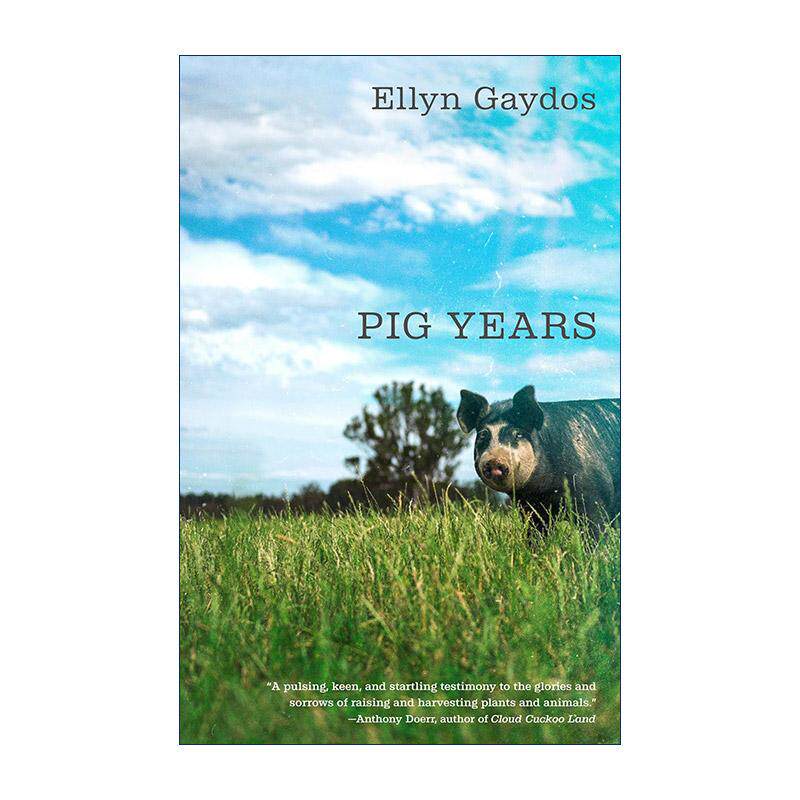 英文原版 Pig Years 猪之年 农场动物饲养 女性回忆录 Ellyn Gaydos 英文版 进口英语原版书籍