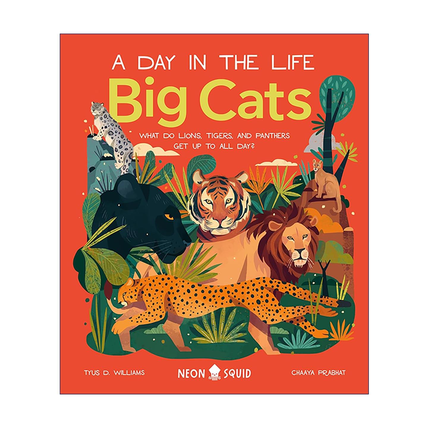 英文原版 Big Cats 生活中的一天之大型猫科动物 精装科普读本 英文版 进口英语原版书籍