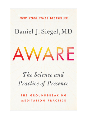 Aware 意识 存在的科学和实践 冥想练习 Daniel J. Siegel