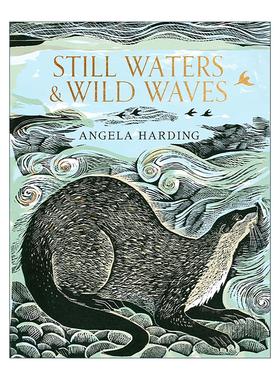 英文原版 Still Waters & Wild Waves 静水与狂浪 英国水域绘记 版画家之旅 艺术插画设定集精装 Angela Harding 进口英语原版书籍