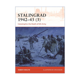 Stalingrad 1942–43 (3) 二战苏德1942-1943斯大林格勒战役 卷三 战争历史系列