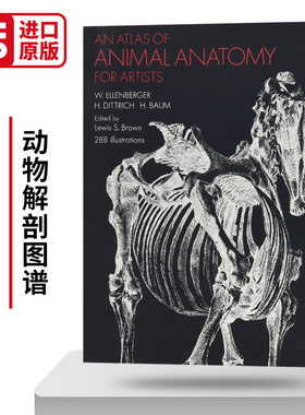 动物解剖图谱 An Atlas of Animal Anatomy for Artists 英文原版动物绘画技巧参考书 进口英语艺术类书籍