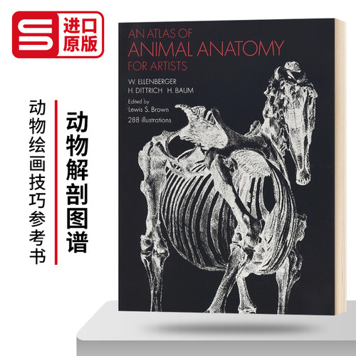 动物解剖图谱 An Atlas of Animal Anatomy for Artists 英文原版动物绘画技巧参考书 进口英语艺术类书籍