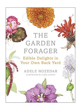英文原版 The Garden Forager 花园采食者 重新发现身边的宝藏 精装插图 英文版 进口英语原版书籍