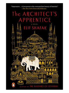 The Architect's Apprentice 建筑师的学徒 历史小说 Elif Shafak