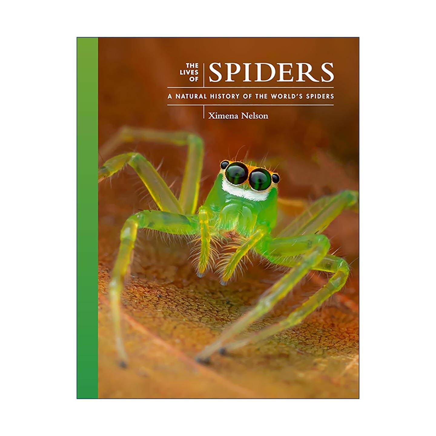 英文原版 The Lives of Spiders 蜘蛛的生活 自然史 普林斯顿 动物行为学教授Ximena Nelson 精装 英文版 进口英语原版书籍