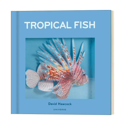 英文原版 Tropical Fish Pop-Up 英国纸艺大师大卫 霍考克 热带鱼立体书 David Hawcock 3D立体书 礼品书 英文版 进口英语原版书籍