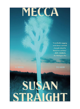 英文原版 Mecca 麦高 华盛顿邮报2022年年度图书 英文版 进口英语原版书籍