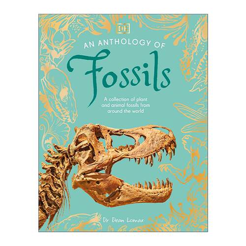 英文原版 An Anthology of Fossils 化石 DK典藏博物馆 自然科普百科精装 英文版 进口英语原版书籍