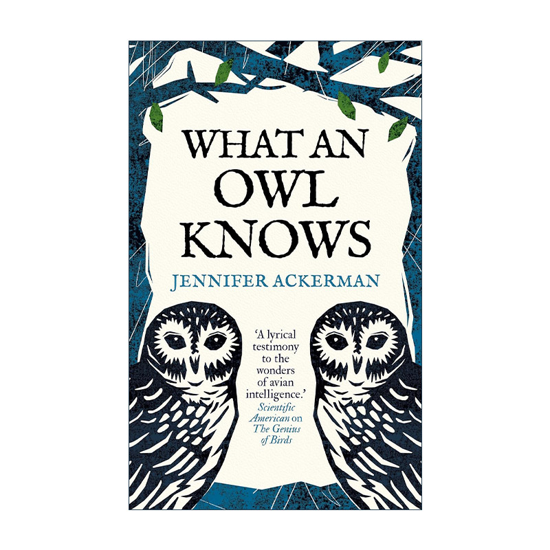 英文原版 What an Owl Knows猫头鹰知道什么精装自然科普詹妮弗?阿克曼英文版进口英语原版书籍