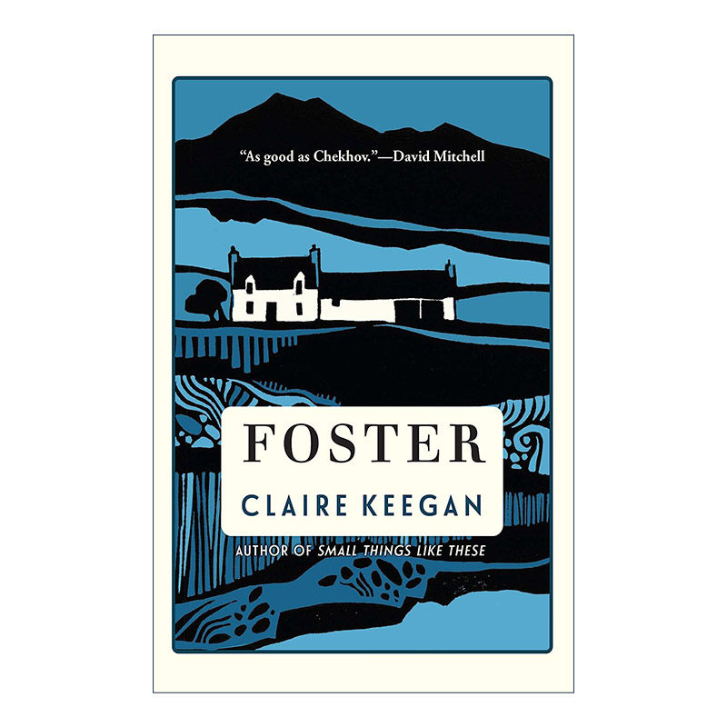 英文原版 Foster 寄养 走在蓝色的田野上作者Claire Keegan克莱尔&middot;吉根 精装 英文版 进口英语原版书籍