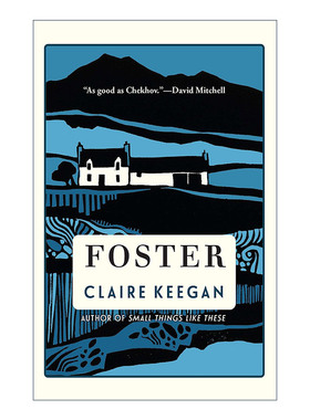 英文原版 Foster 寄养 走在蓝色的田野上作者Claire Keegan克莱尔·吉根 精装 英文版 进口英语原版书籍