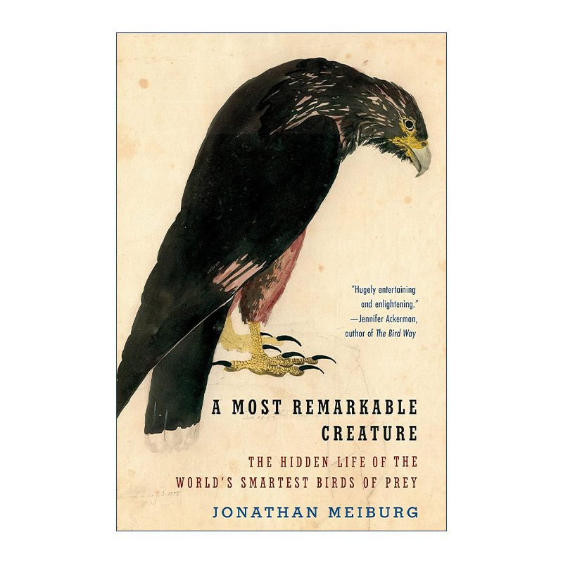 英文原版 A Most Remarkable Creature 非凡的生物 世界上聪明猛禽的隐秘生活 Jonathan Meiburg 英文版 进口英语原版书籍