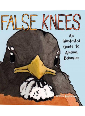 False Knees 我能有什么坏心思呢 英文原版爆红漫画系列 短篇荒诞幽默搞笑作品集 进口英语书籍