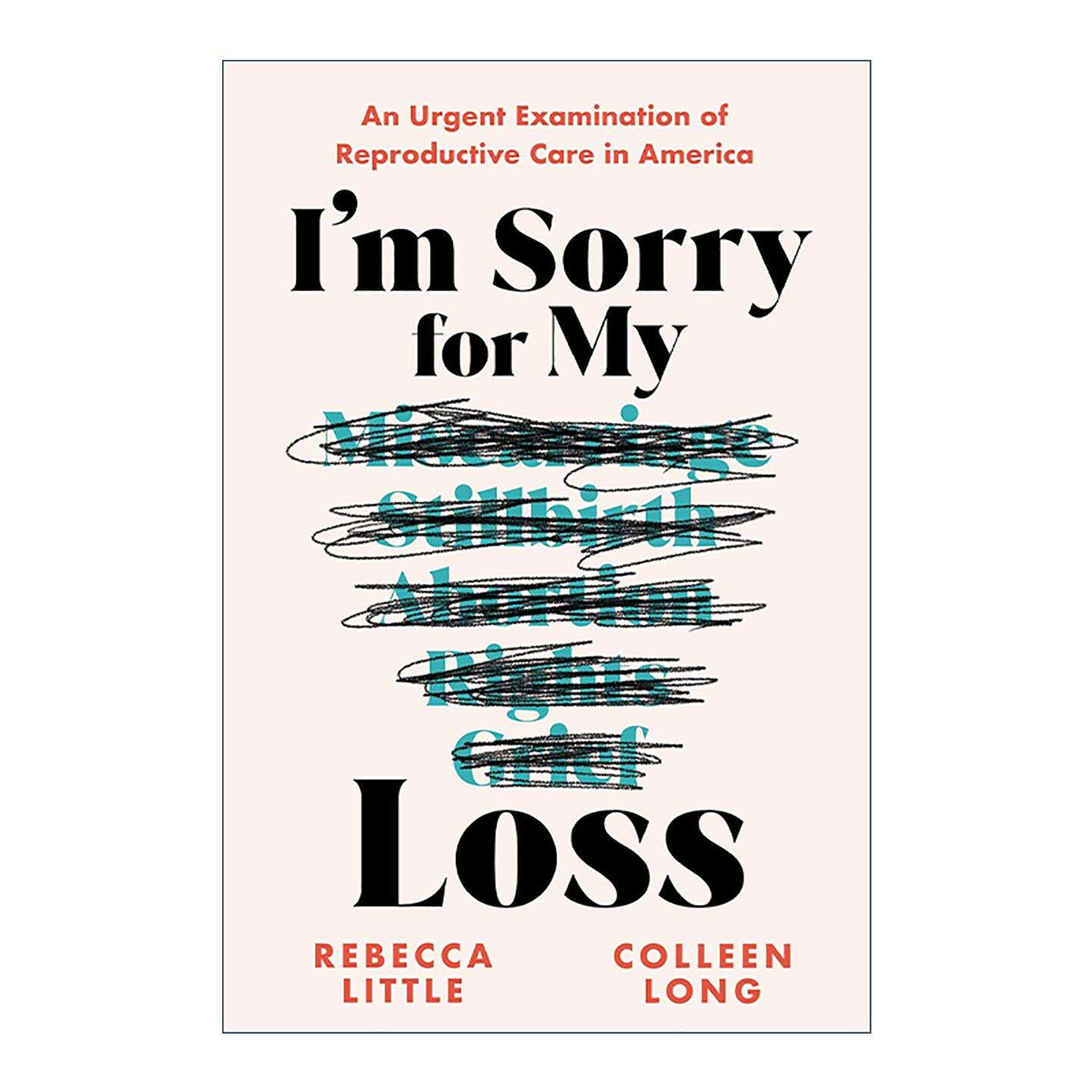 英文原版 I'm Sorry for My Loss 我为我的失败感到抱歉 美国生殖保健的紧急检查 怀孕 流产 社会学 英文版 进口英语原版书籍