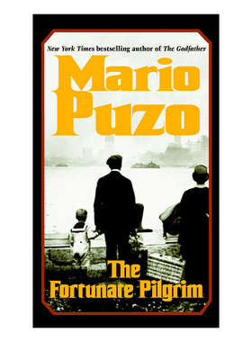 The Fortunate Pilgrim 幸运的朝圣者 惊悚悬疑小说 Mario Puzo