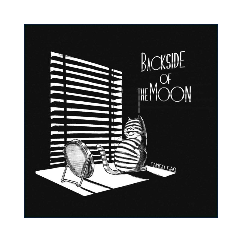 Backside of the Moon月球背面幽默漫画中国漫画家高幼军