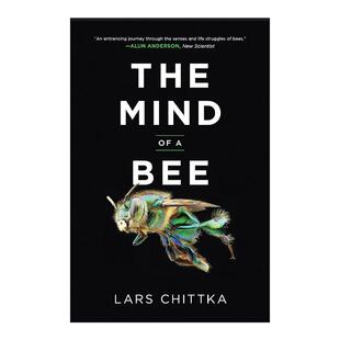 Chittka Mind Bee 英文原版 思想 行为生态学教授Lars 英文版 自然科普 心智 蜂 书籍 进口英语原版 蜜蜂 The