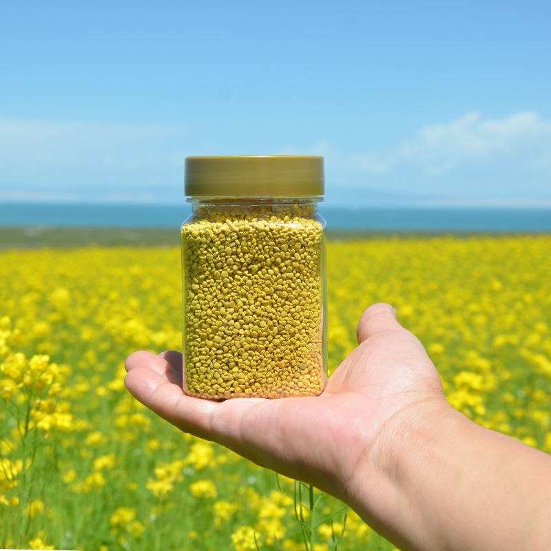 2022青海油菜花粉原天然蜂花粉 食用新鲜花粉粉250g 前列腺正品斤
